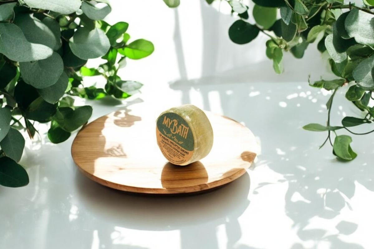 Lif Kabaklı Okaliptüs